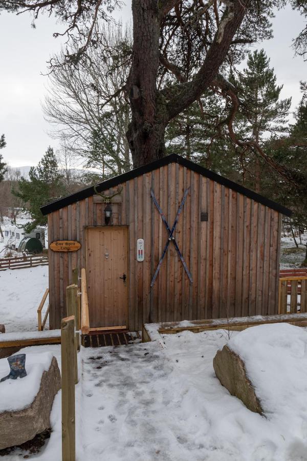 Pine Marten Bar Glenmore Treehouse Aviemore Eksteriør bilde
